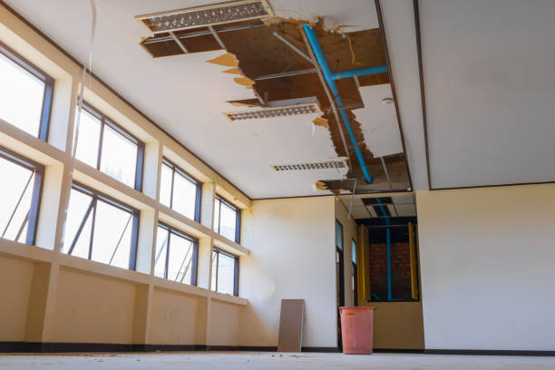 Water damage restoration process in Dolan Springs, AZ