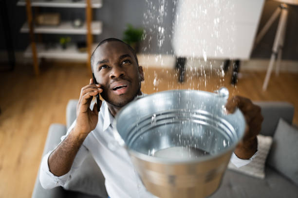 Best Water damage restoration experts  in Dolan Springs, AZ