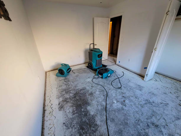 Best Water damage restoration near me  in Dolan Springs, AZ