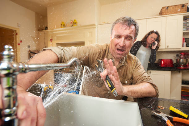 Best Flood restoration services  in Dolan Springs, AZ